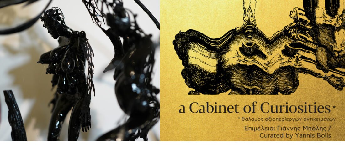 Cabinet of curiosites